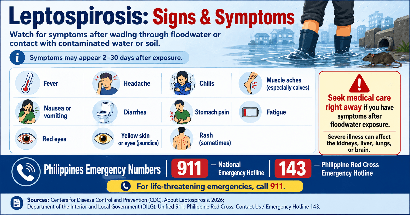 Leptospirosis Signs and Symptoms Illustration image of leptospirosis signs and symptoms